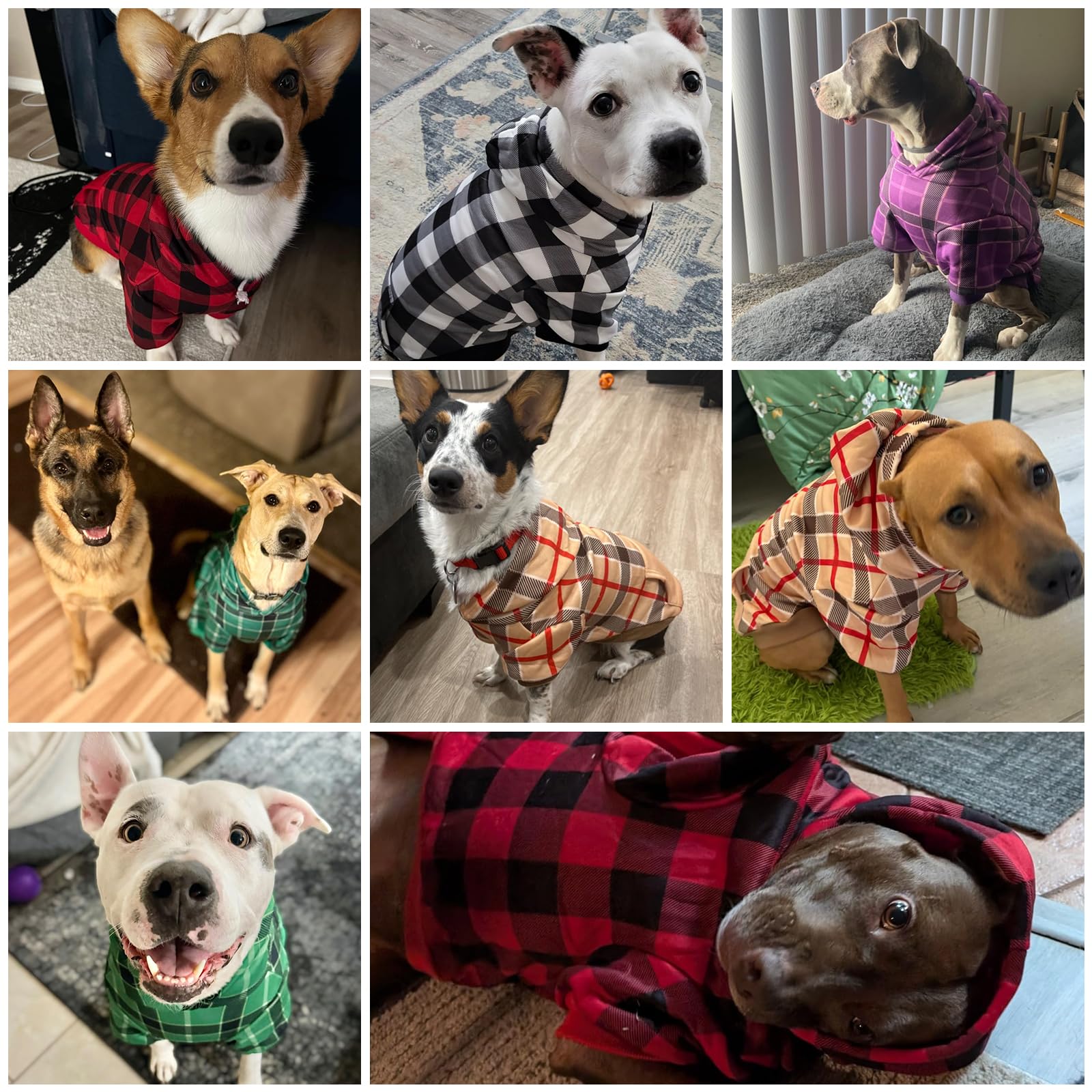 KOOLTAIL plaid dog hoodie green holiday pattern for festive looks