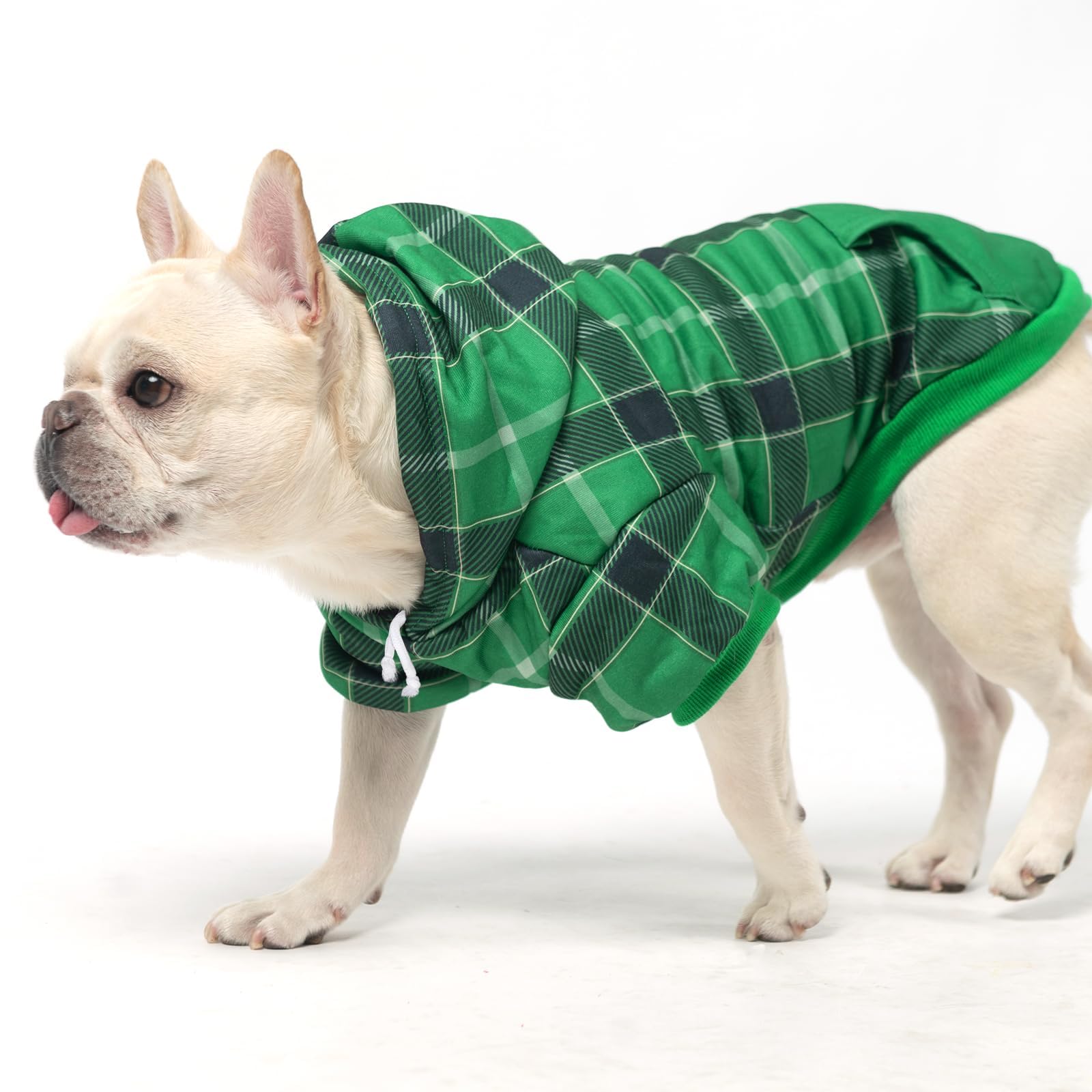 KOOLTAIL plaid dog hoodie green worn on dog during strolls