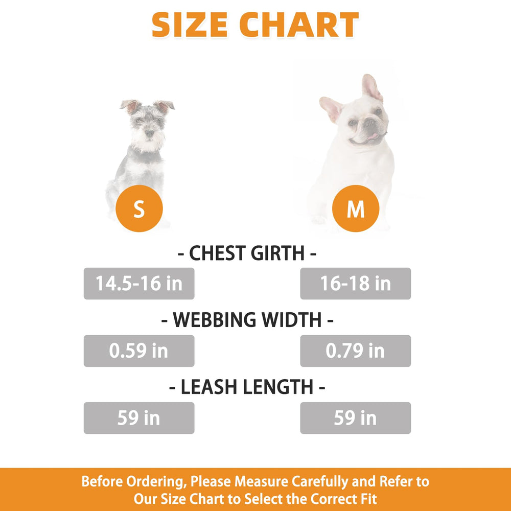 KOOLTAIL plush small-dog-harness-easy-on-off demonstrates quick, comfortable step-in wear