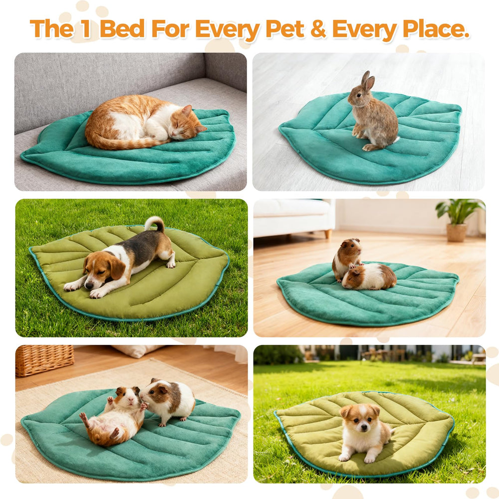 KOOLTAIL portable warm pad travels easily for familiar warmth anywhere.