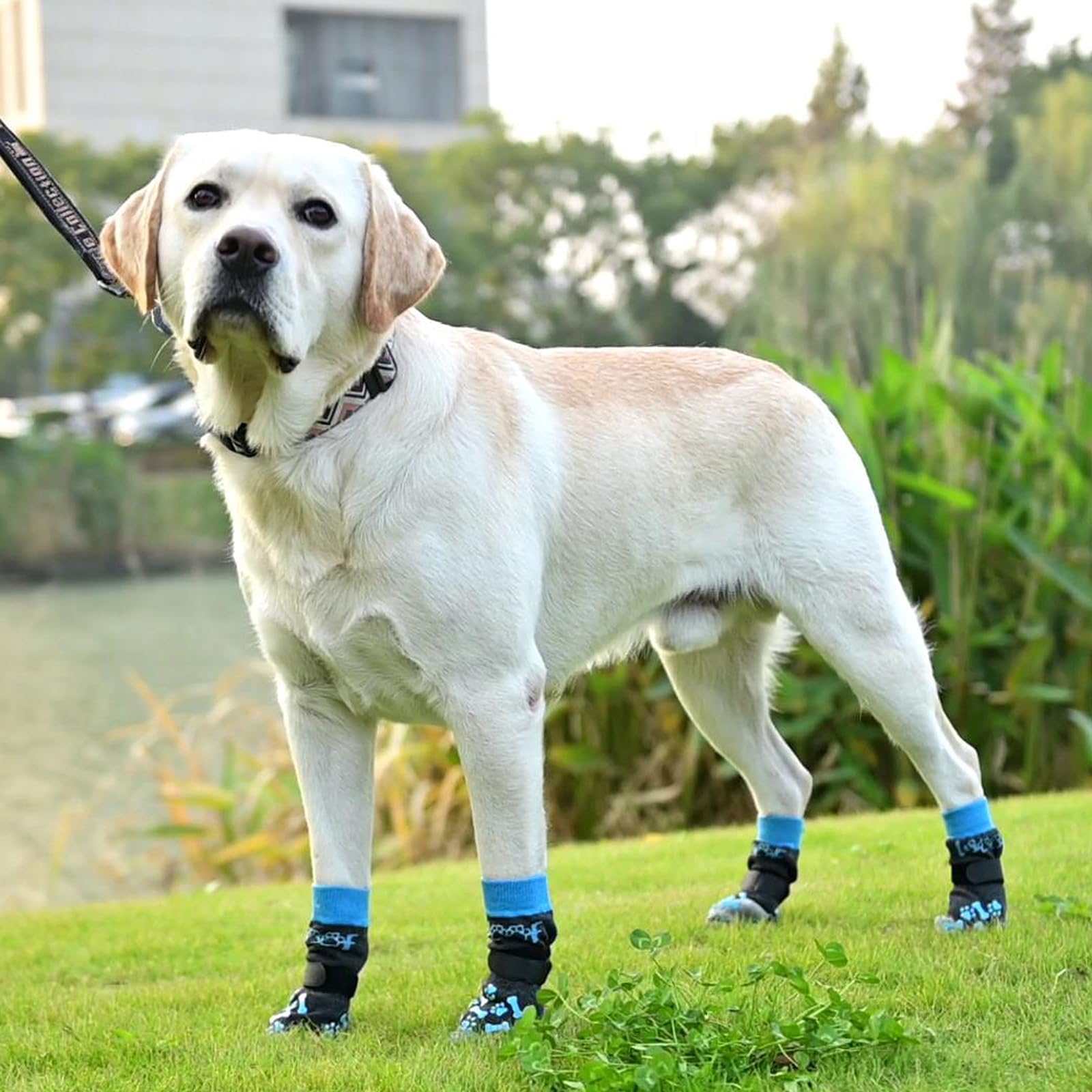KOOLTAIL protector de patas interior, protege suelos y evita lamidos