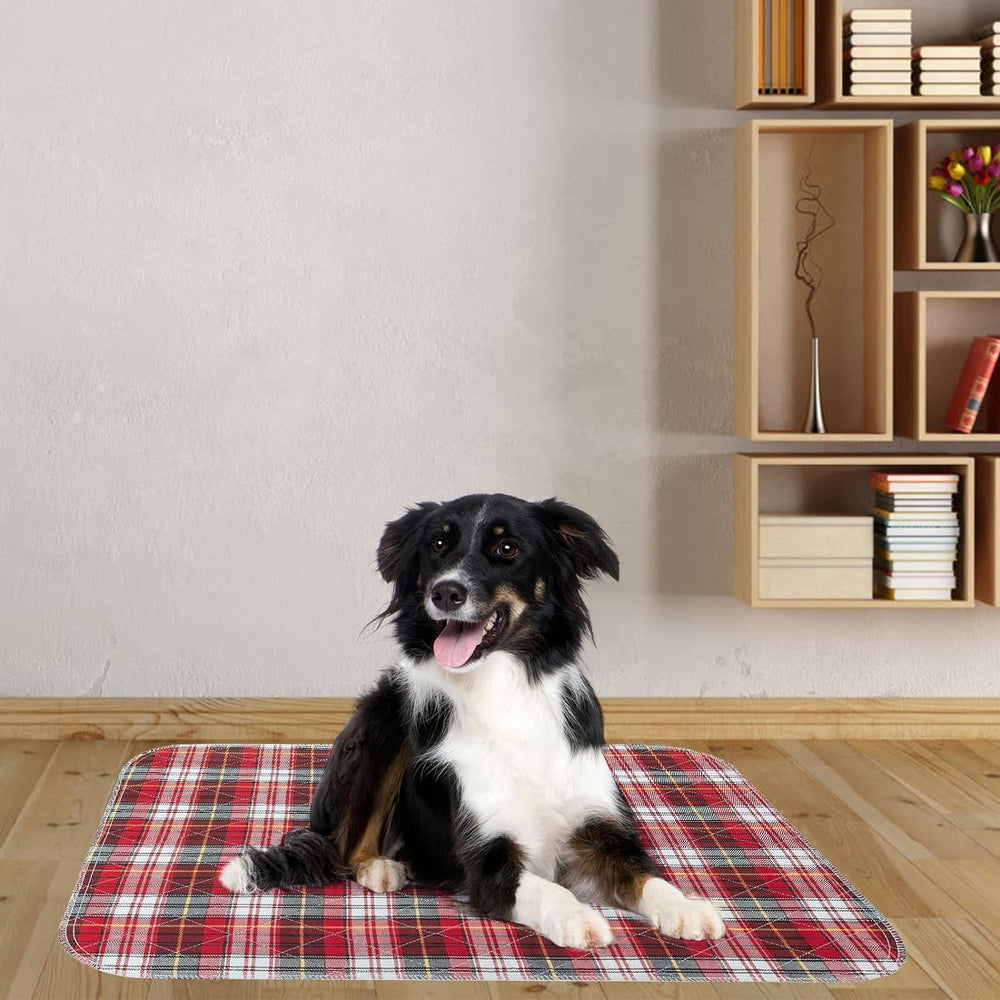 KOOLTAIL-large-31x36 ample coverage for big dogs and play areas.