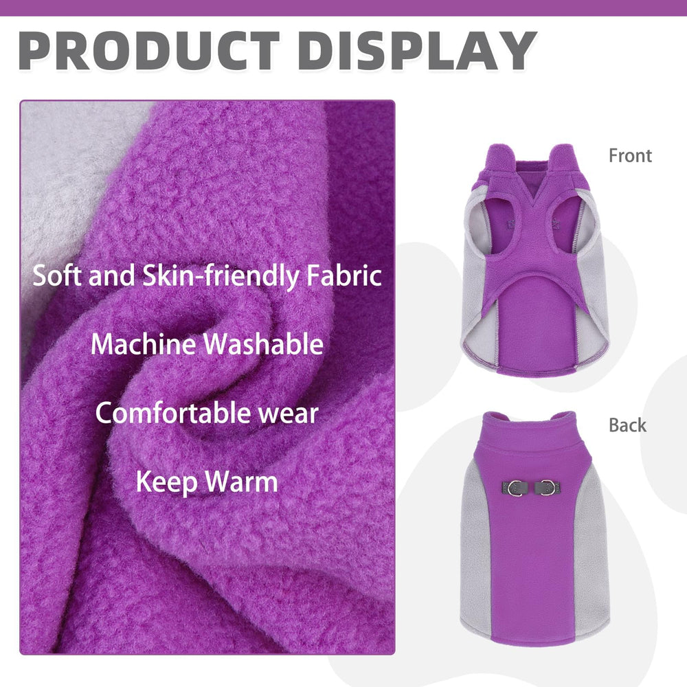 KOOLTAIL purple color-blocking design stands out on outings