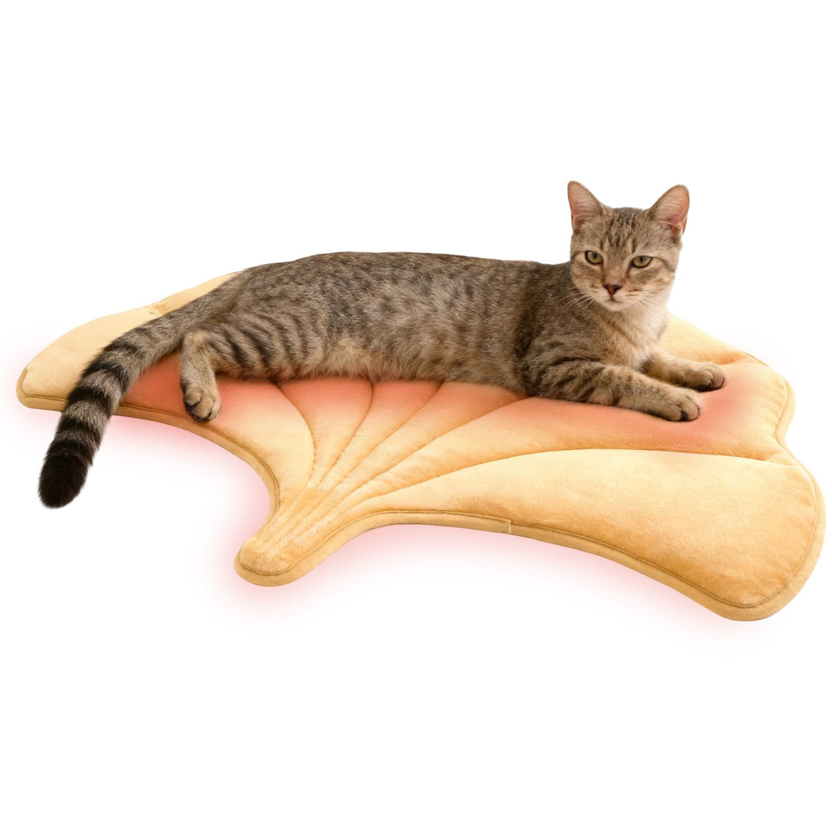 KOOLTAIL Self-Warming Bed Mat top view showing plush velvet warmth