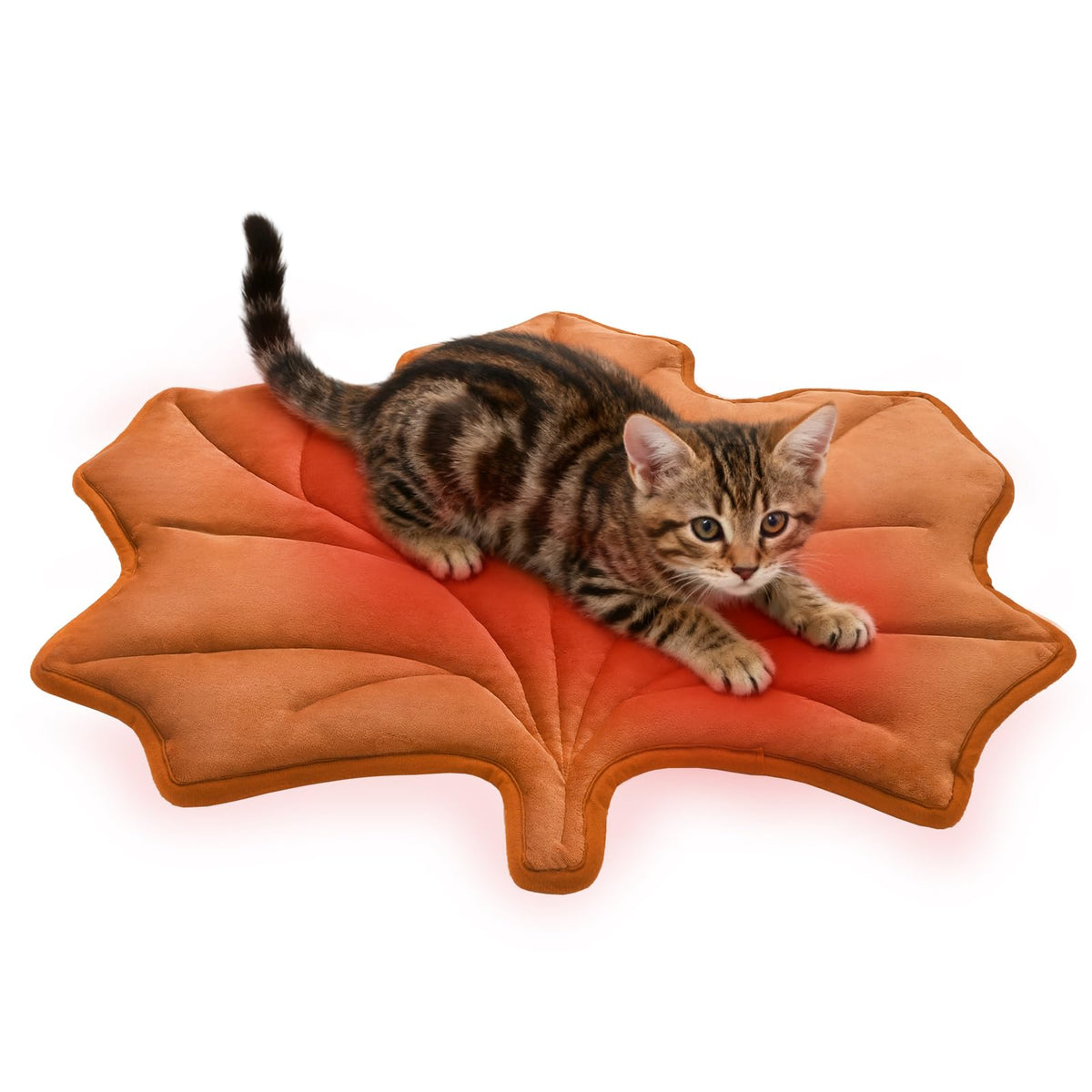 KOOLTAIL Self Warming Cat Bed Mat front view—cozy resting spot for indoor pets.