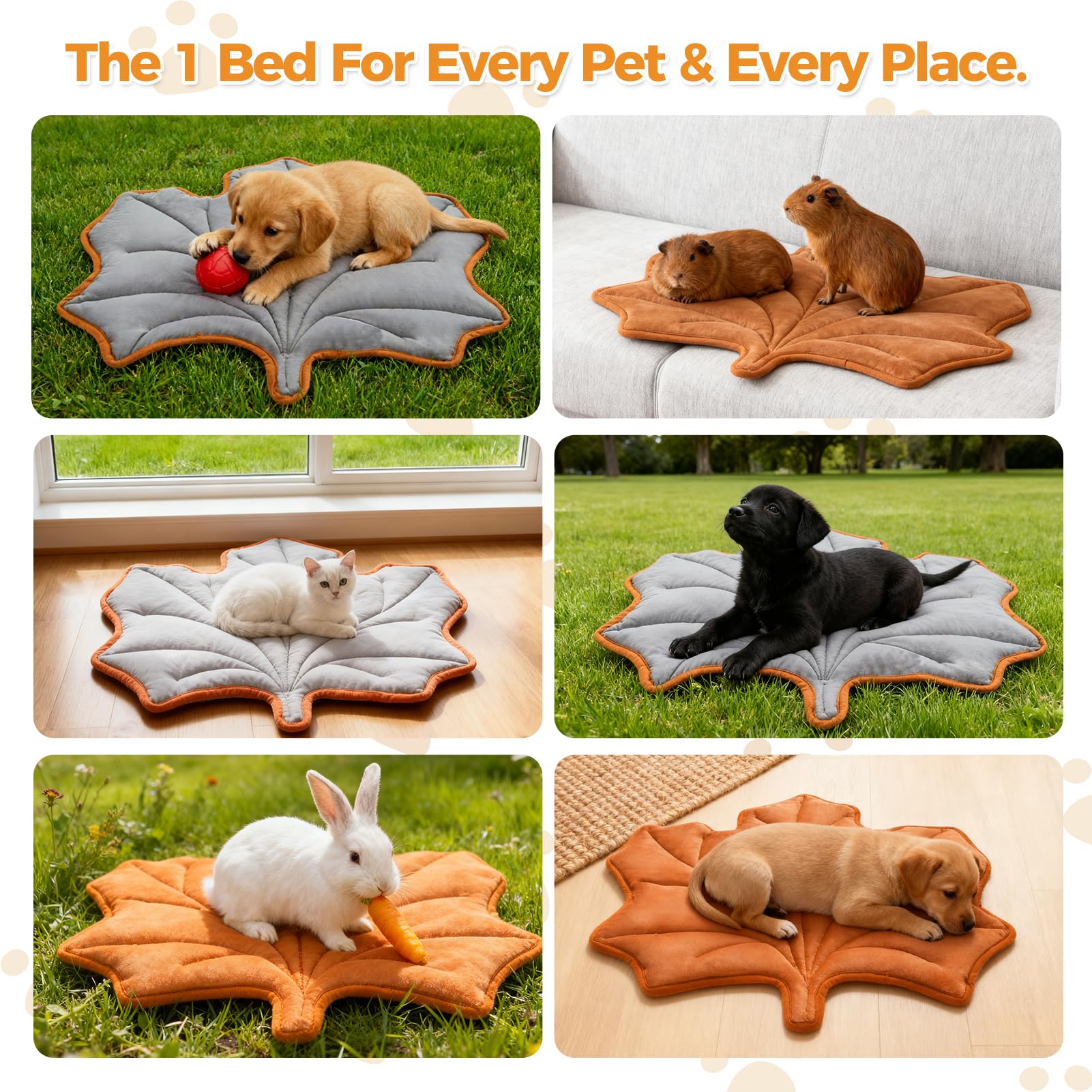 KOOLTAIL Self Warming Cat Bed Mat portable in use—great for travel and vet visits.