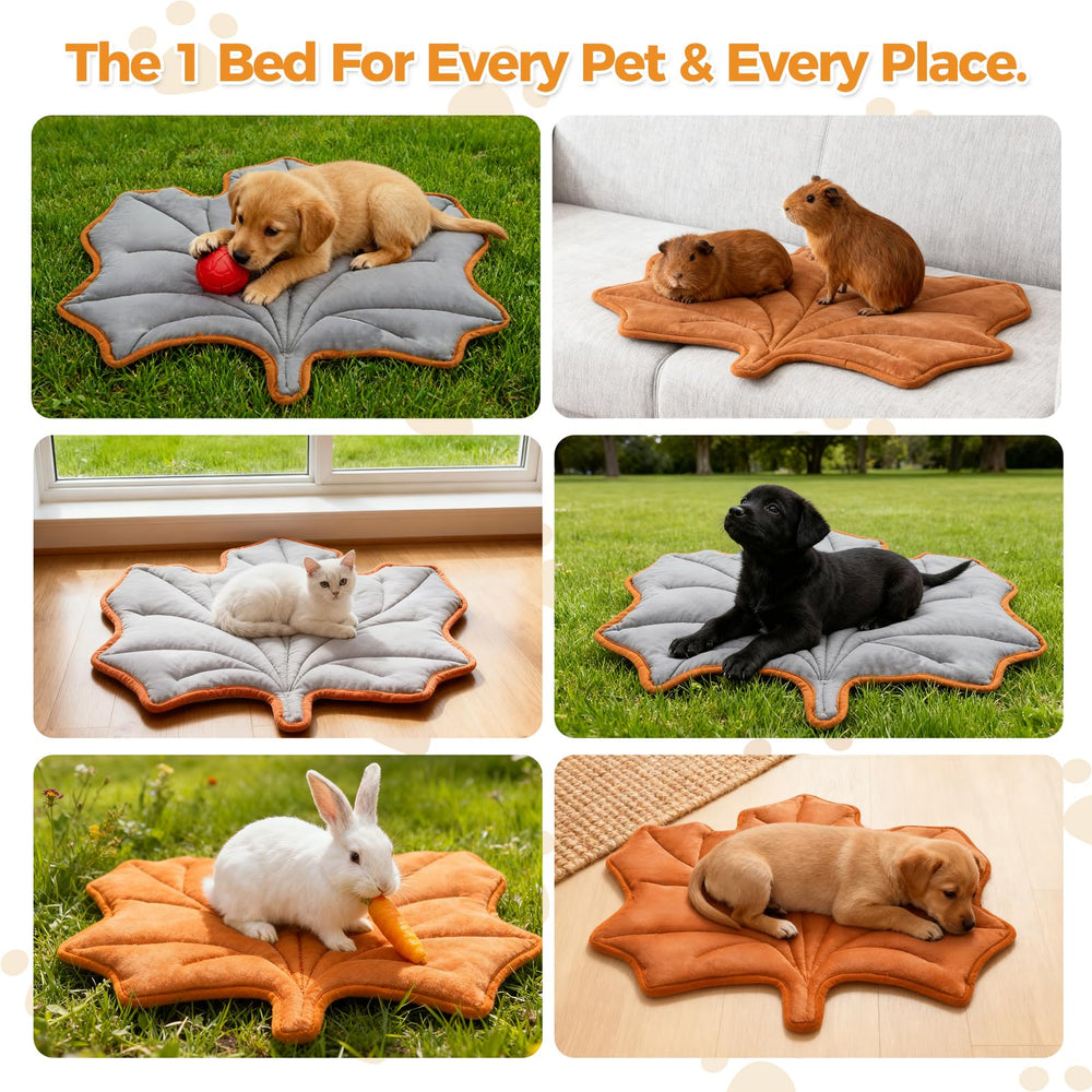 KOOLTAIL Self Warming Cat Bed Mat portable in use—great for travel and vet visits.