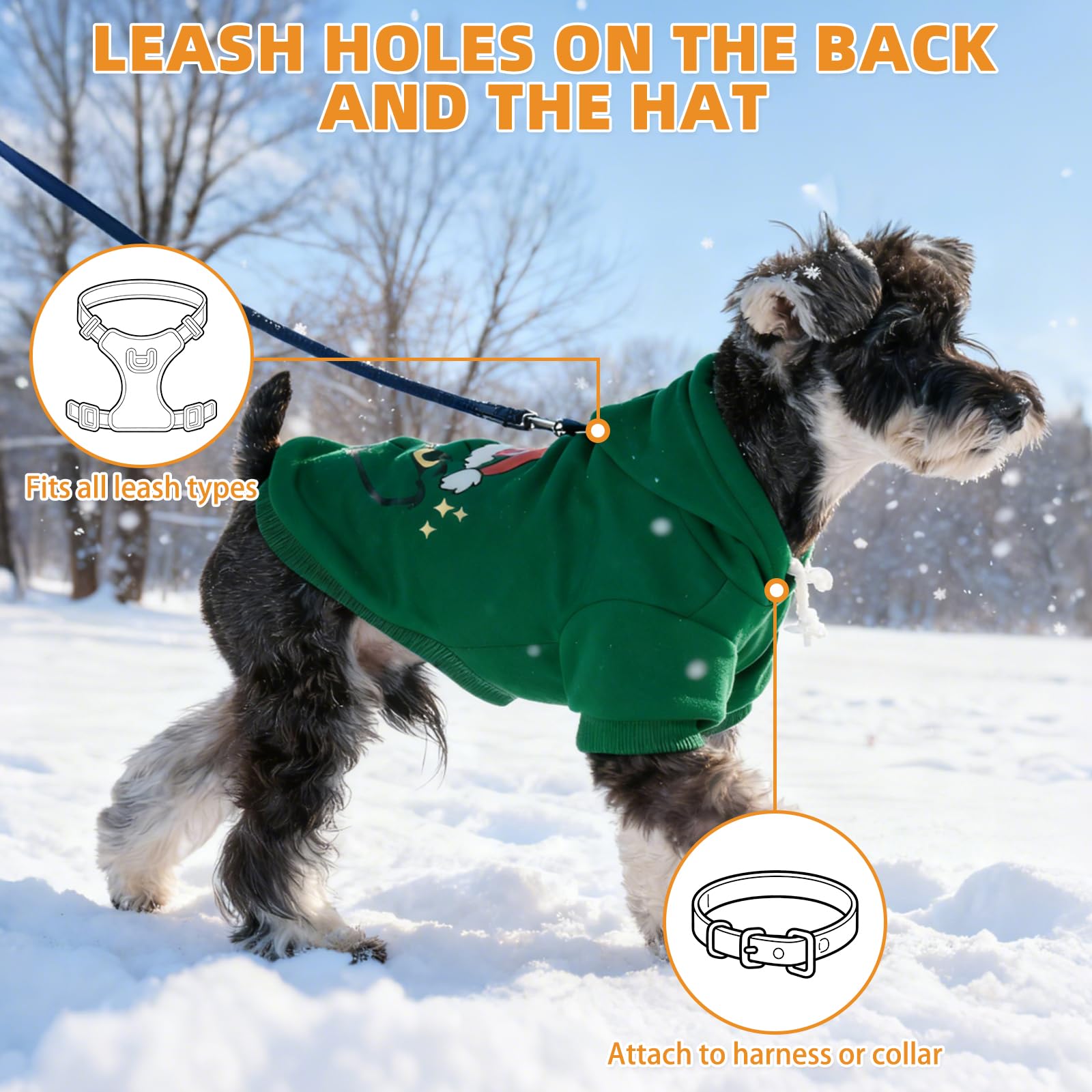 KOOLTAIL size options S to XL ensure proper fit and comfortable movement