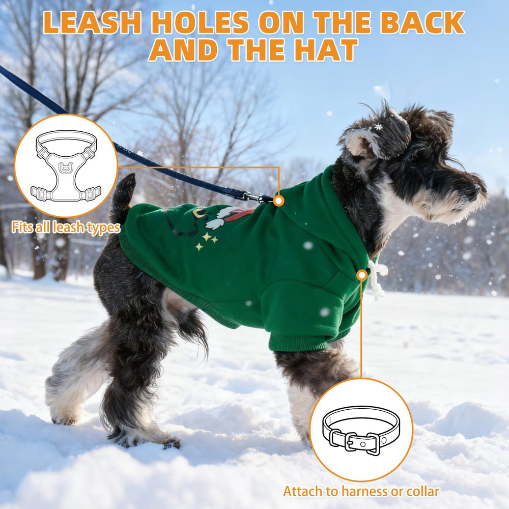 KOOLTAIL size options S to XL ensure proper fit and comfortable movement