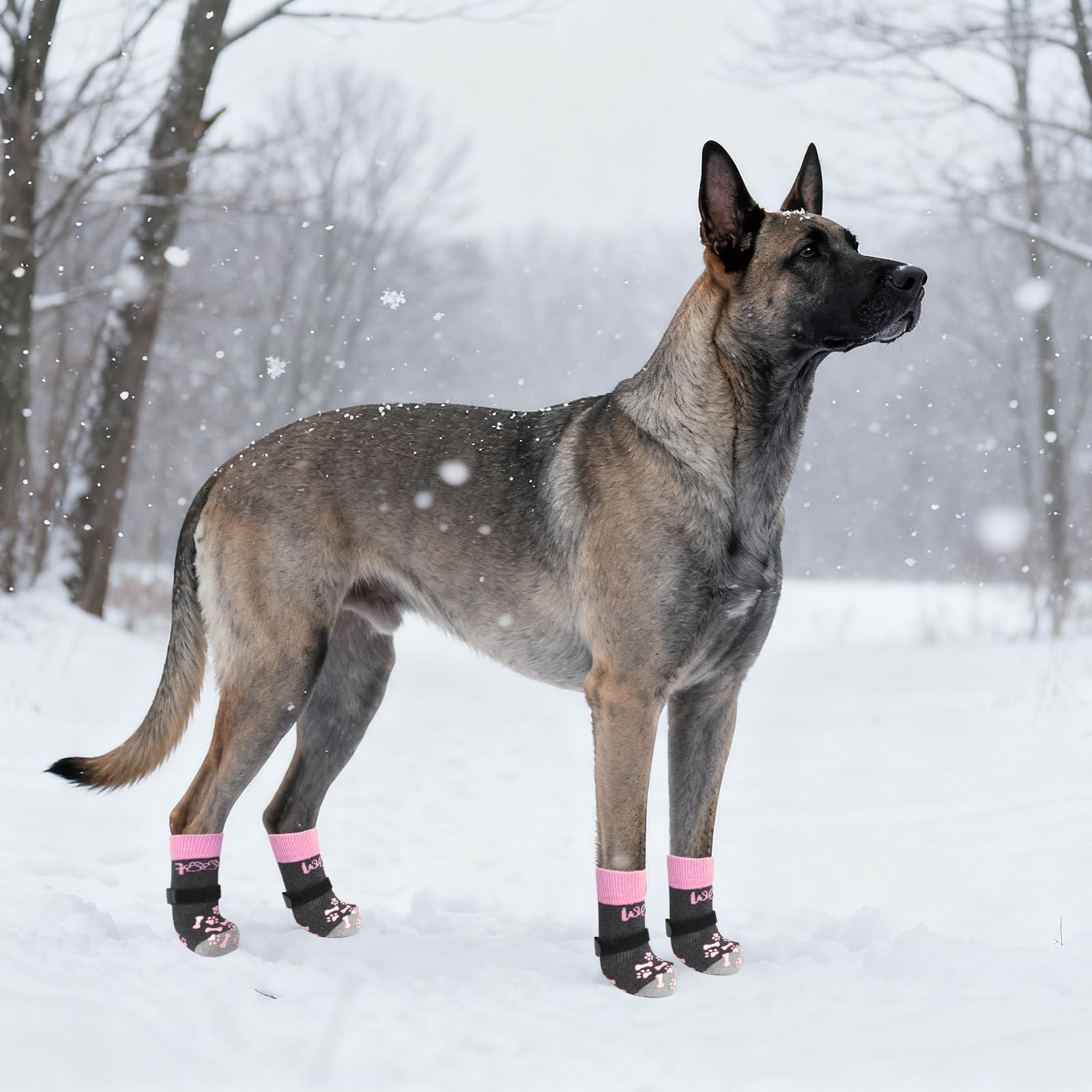Kooltail size XL fit guide visual aids accurate sizing for large dogs.