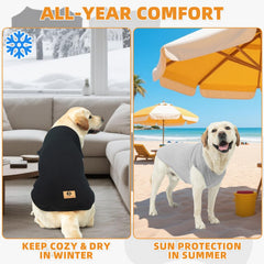 KOOLTAIL sleeveless dog tank-top on a dog during a walk for unrestricted movement.