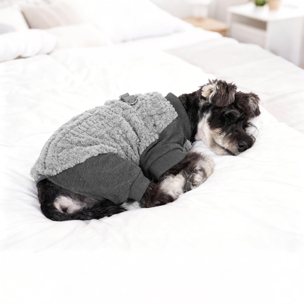 KOOLTAIL color-pink option for stylish winter wear on small dogs.