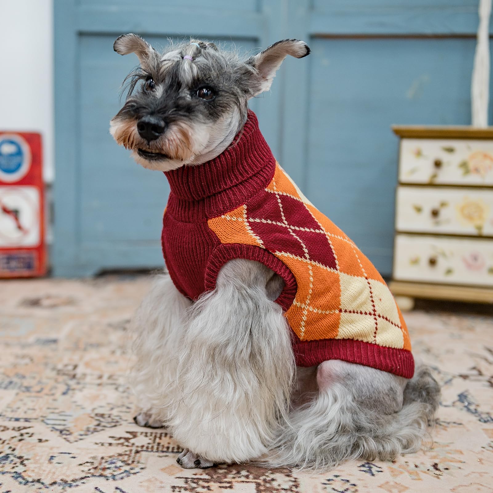 KOOLTAIL small dog sweater machine-washable care, convenient cleaning after outdoor trips.