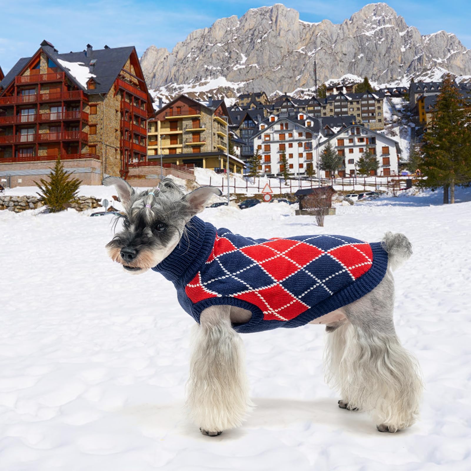 KOOLTAIL Small Dog Sweater winter wear image demonstrating warm outer layer
