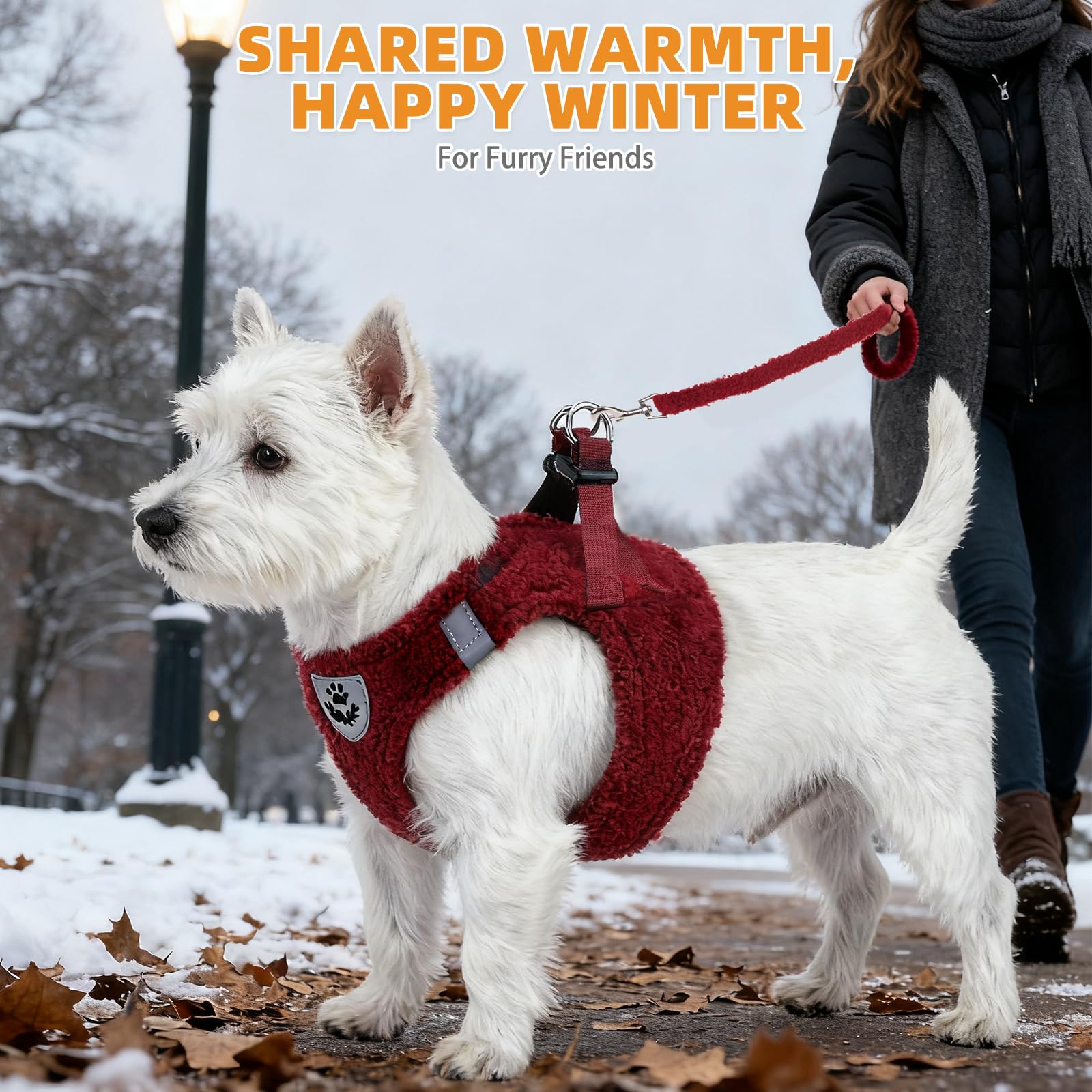 KOOLTAIL small-dog winter-walk setup shows complete set for quick outings.