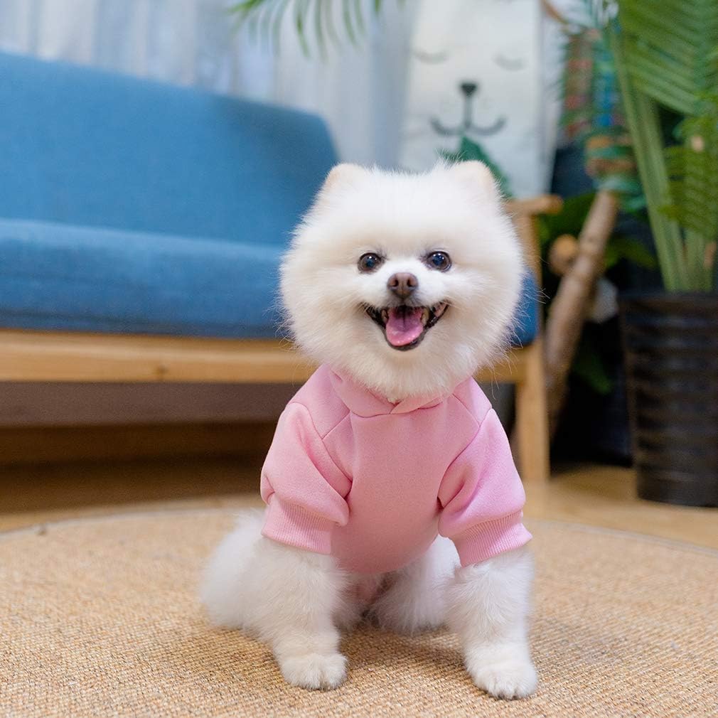 KOOLTAIL sudadera para perros básica: disponible en varios colores para combinar con estilo.