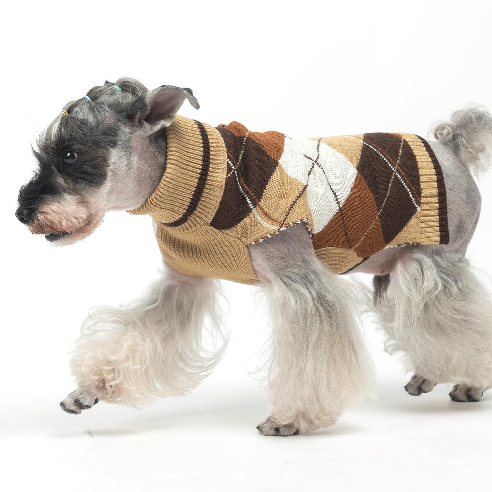 KOOLTAIL variedad de tallas para perros de diferentes razas