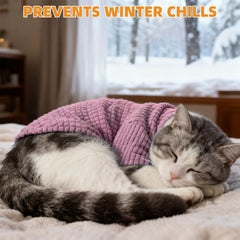 KOOLTAIL suéter en tallas disponibles para gatos pequeños, ajuste cómodo.