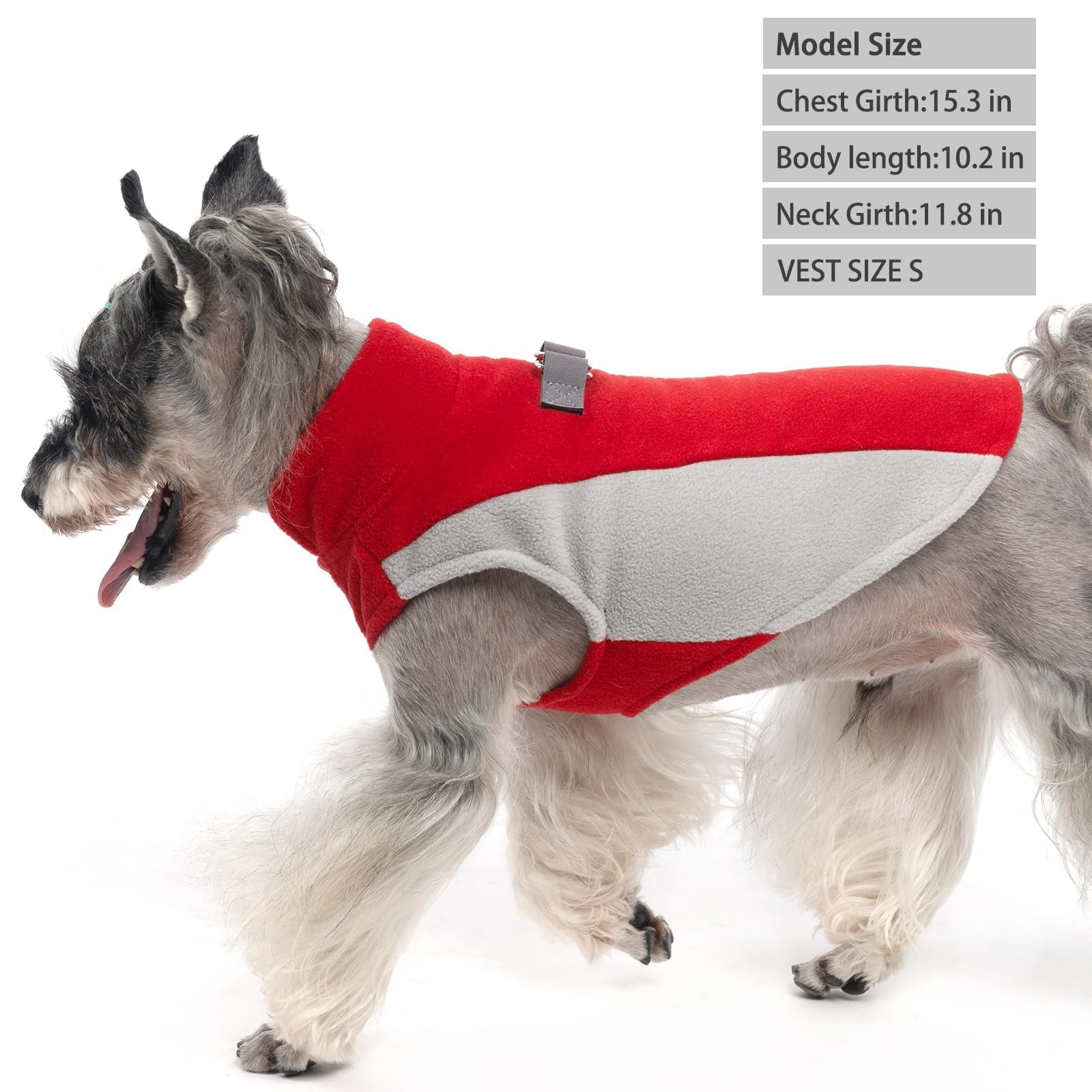 KOOLTAIL suéter para perro pequeño con enganche para correa, paseos prácticos y seguros.
