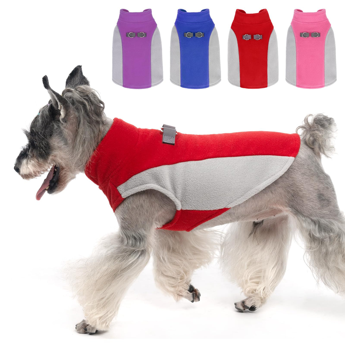 KOOLTAIL suéter pequeño para perro, visto de frente, aporta calor y confort.
