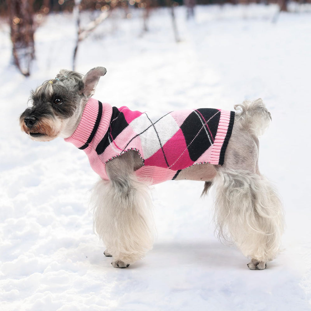 KOOLTAIL regalo ideal para mascota, suéter cálido para Día de Brujas, Acción de Gracias y Navidad.