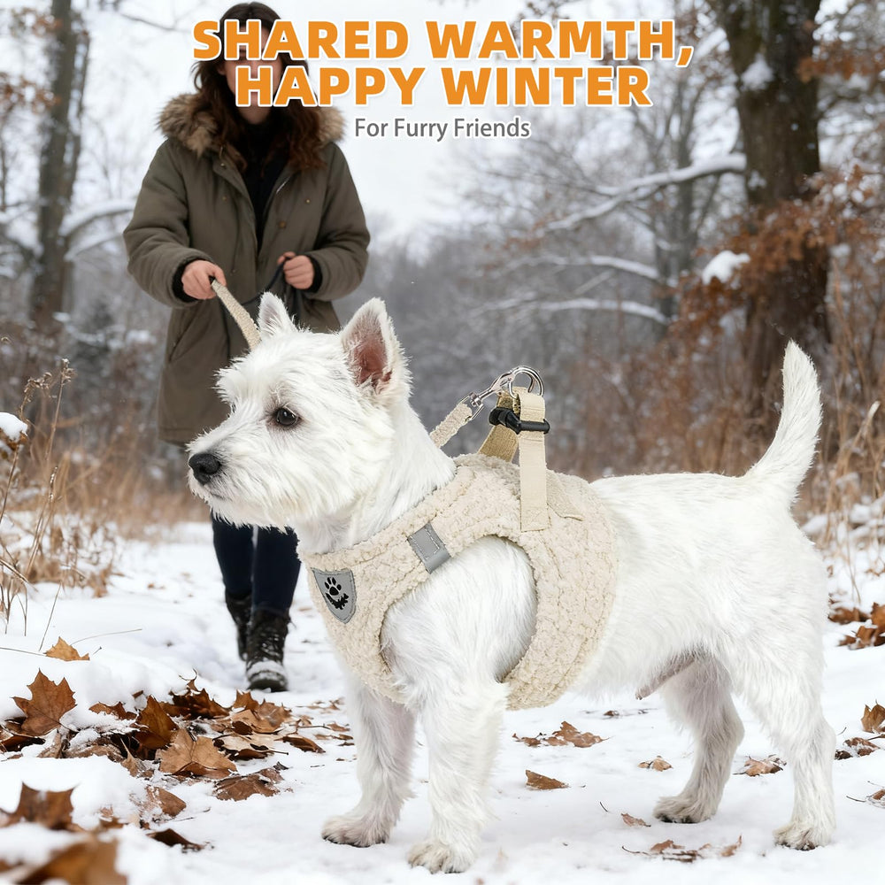 KOOLTAIL teddy-style harness at festival setting for cute, cozy appearance