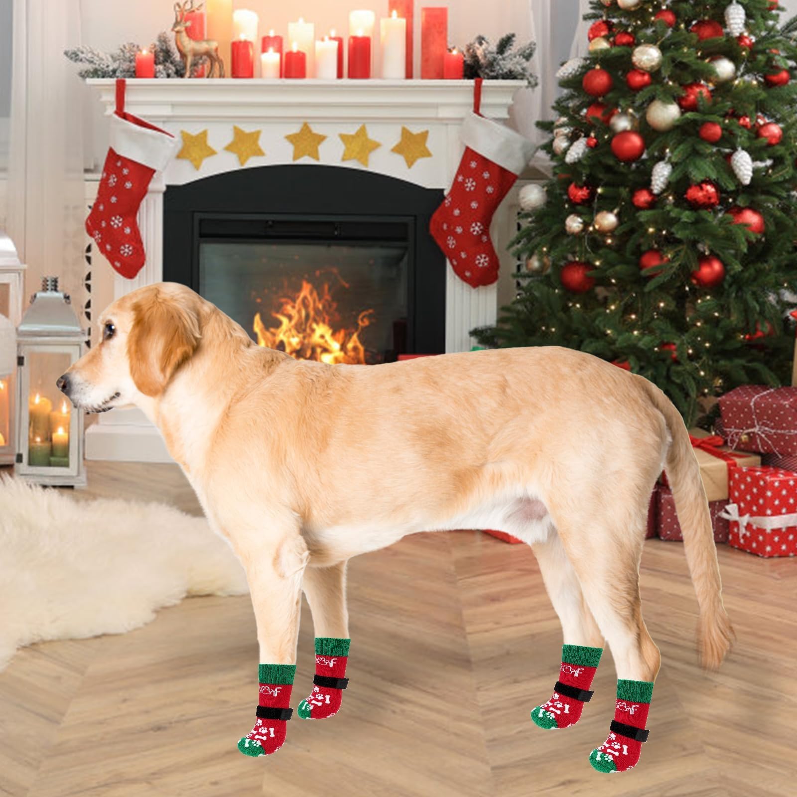 KOOLTAIL twist-resistant design helps maintain fit during runs and zoomies