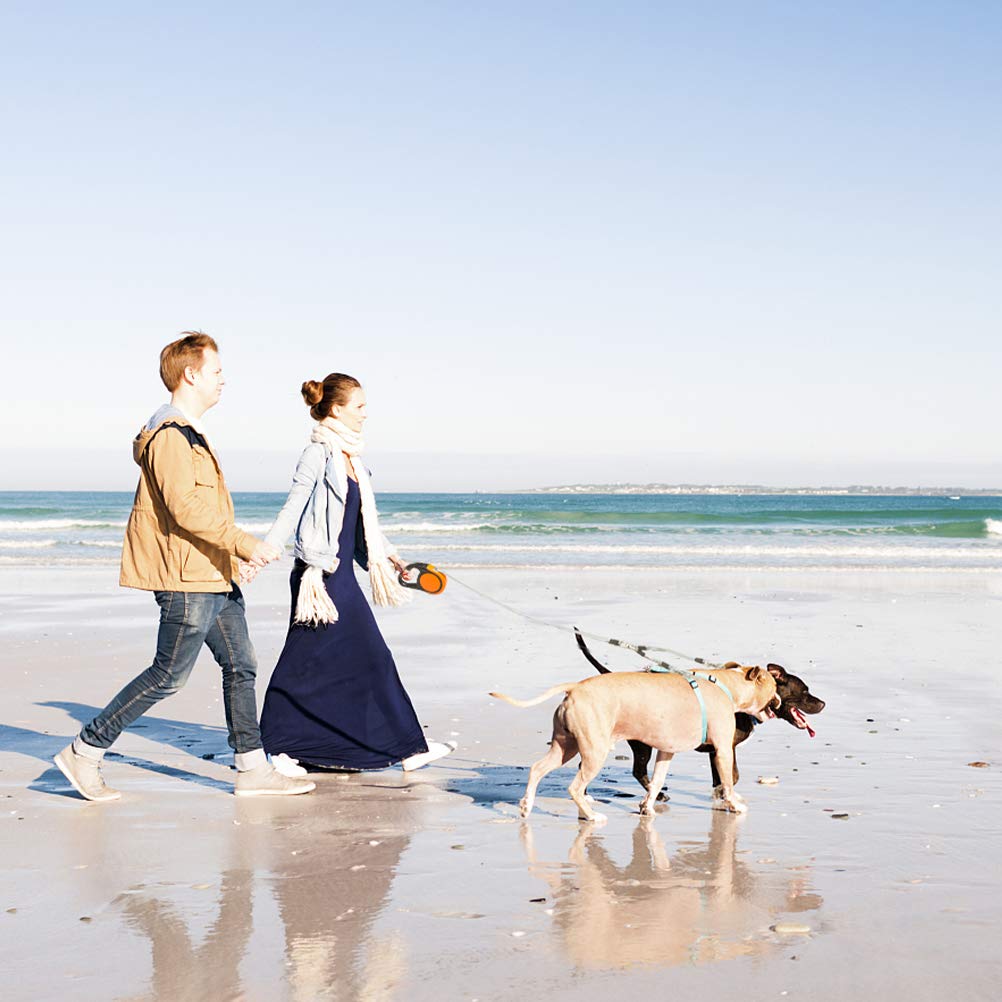 KOOLTAIL two-dog traction rope enables outdoor activities like hiking.