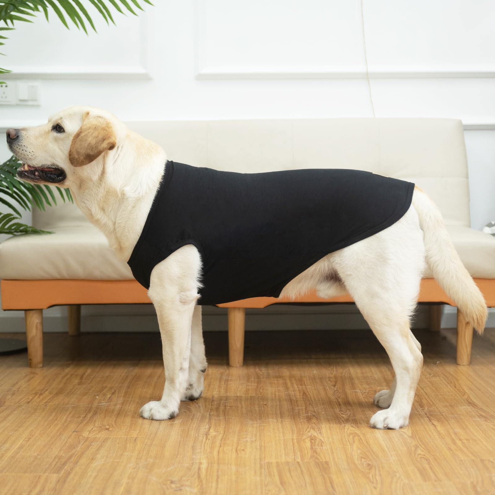 KOOLTAIL two-pack-dog-shirts easy to switch for outings.