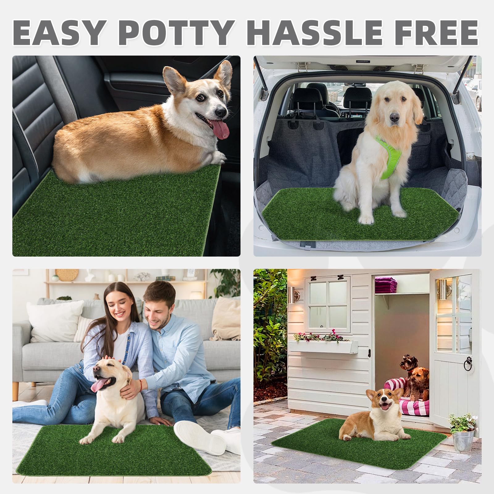KOOLTAIL two-pack image highlights versatile setup for multiple rooms.