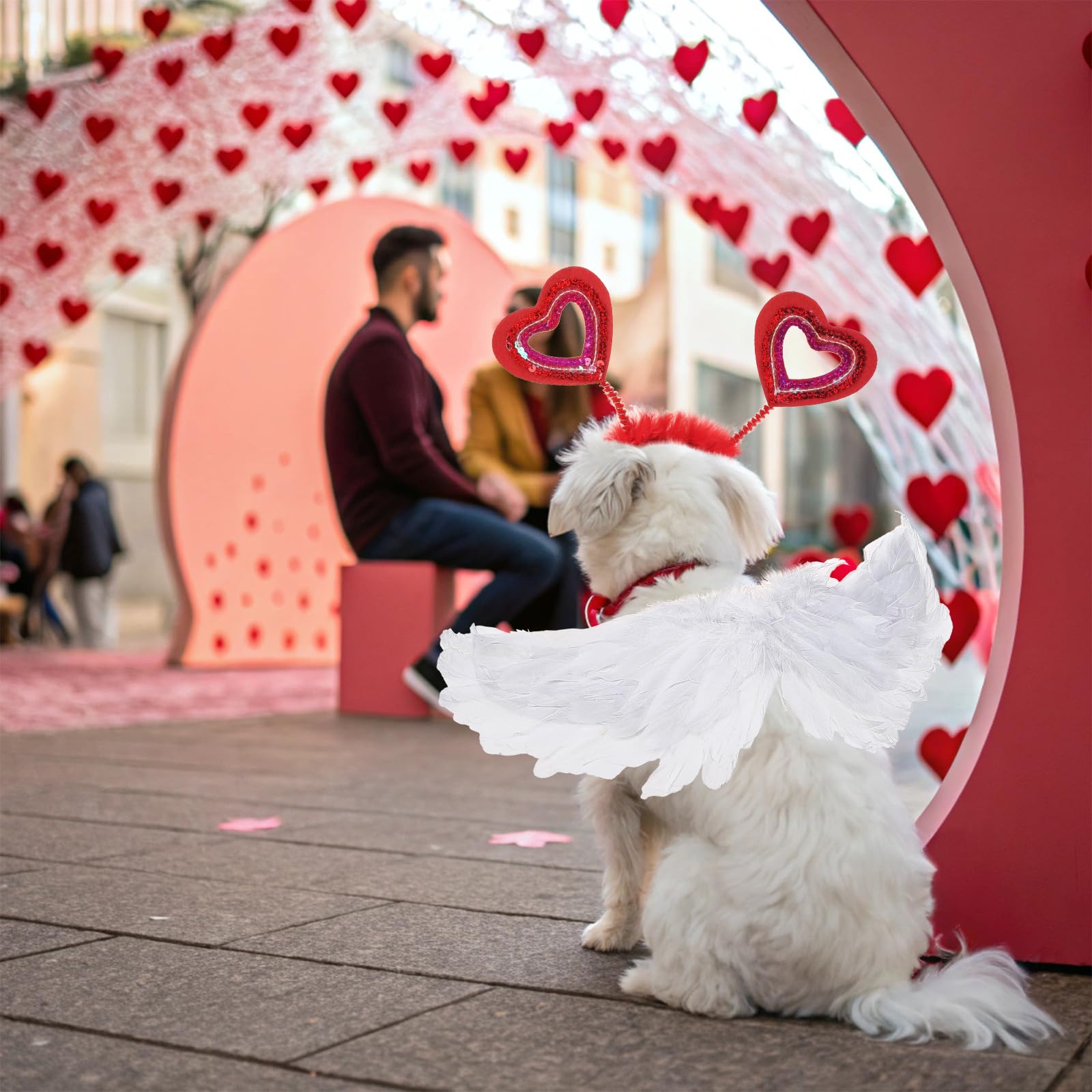 KOOLTAIL Valentines Gift-Pet Costume makes a fun gift for pet lovers.