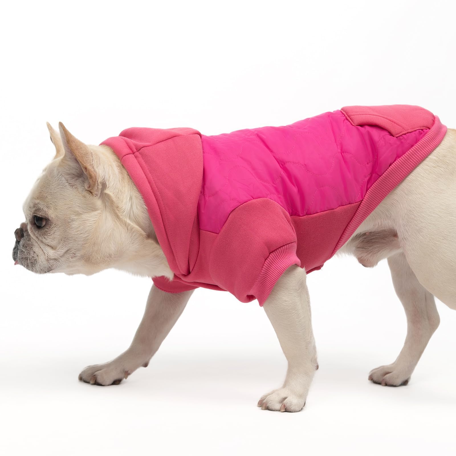 KOOLTAIL warm dog winter coat adjustable neck buckle for secure fit.
