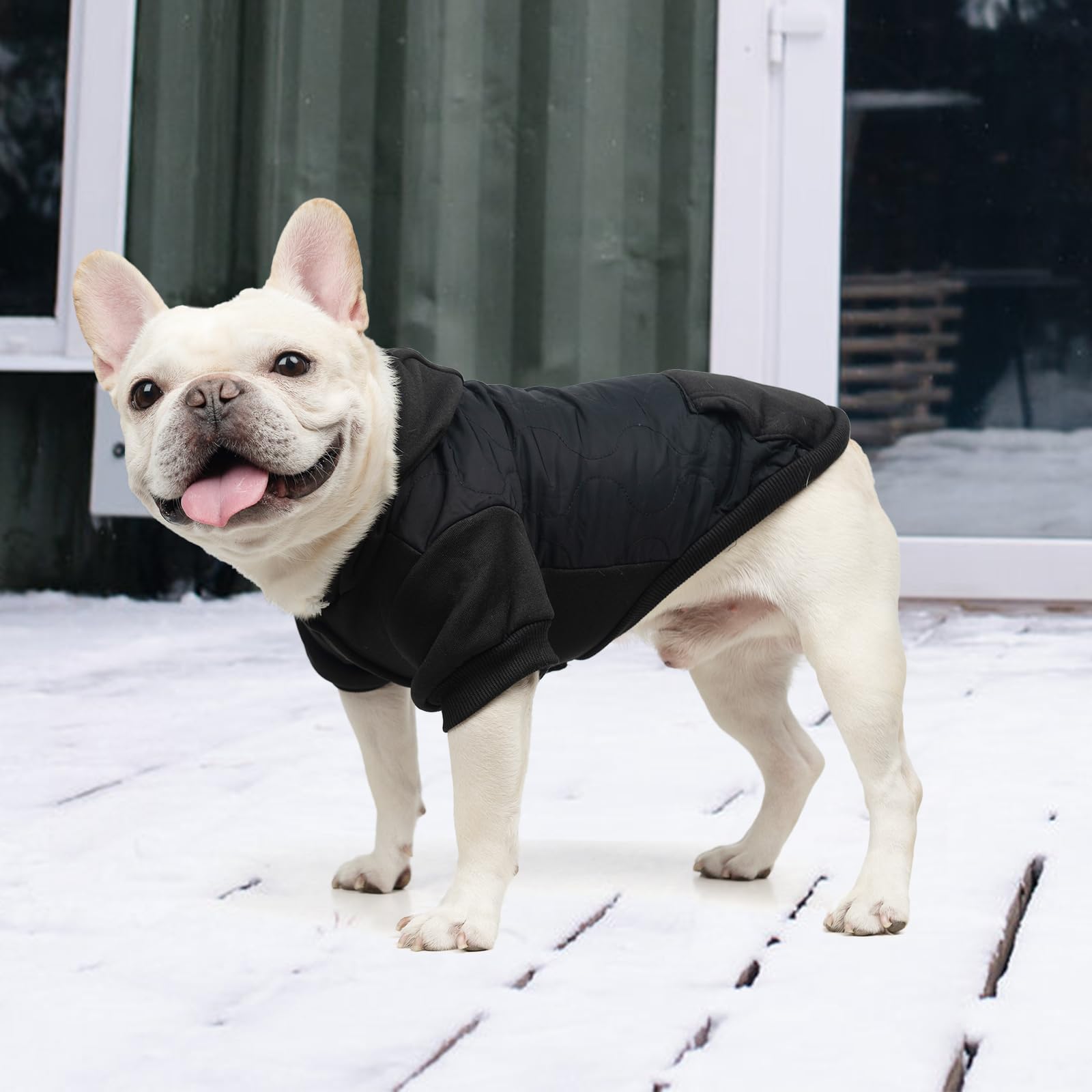 KOOLTAIL warm dog winter coat ideal for winter adventures and warmth outdoors.