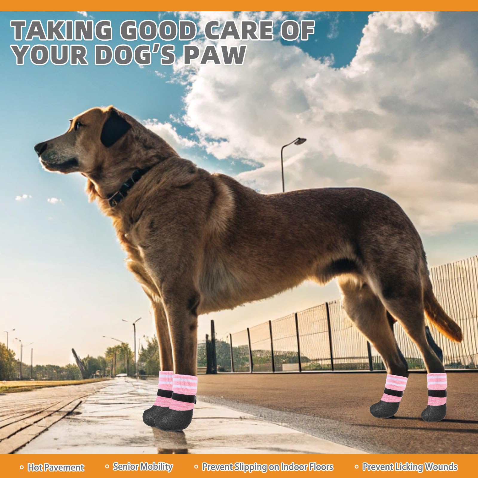KOOLTAIL waterproof dog boots protect paws in wet ground and damp conditions