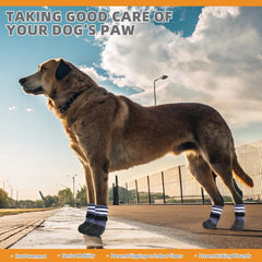 KOOLTAIL waterproof dog boots snow-ready keep paws dry in wet weather.