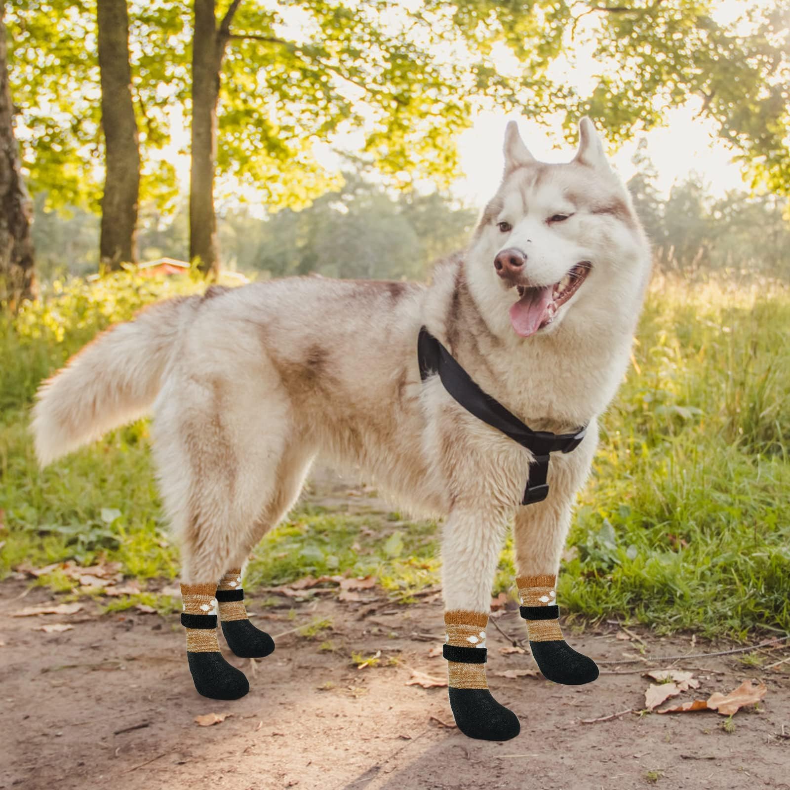 KOOLTAIL waterproof underlayer supports paws during rainy day walks