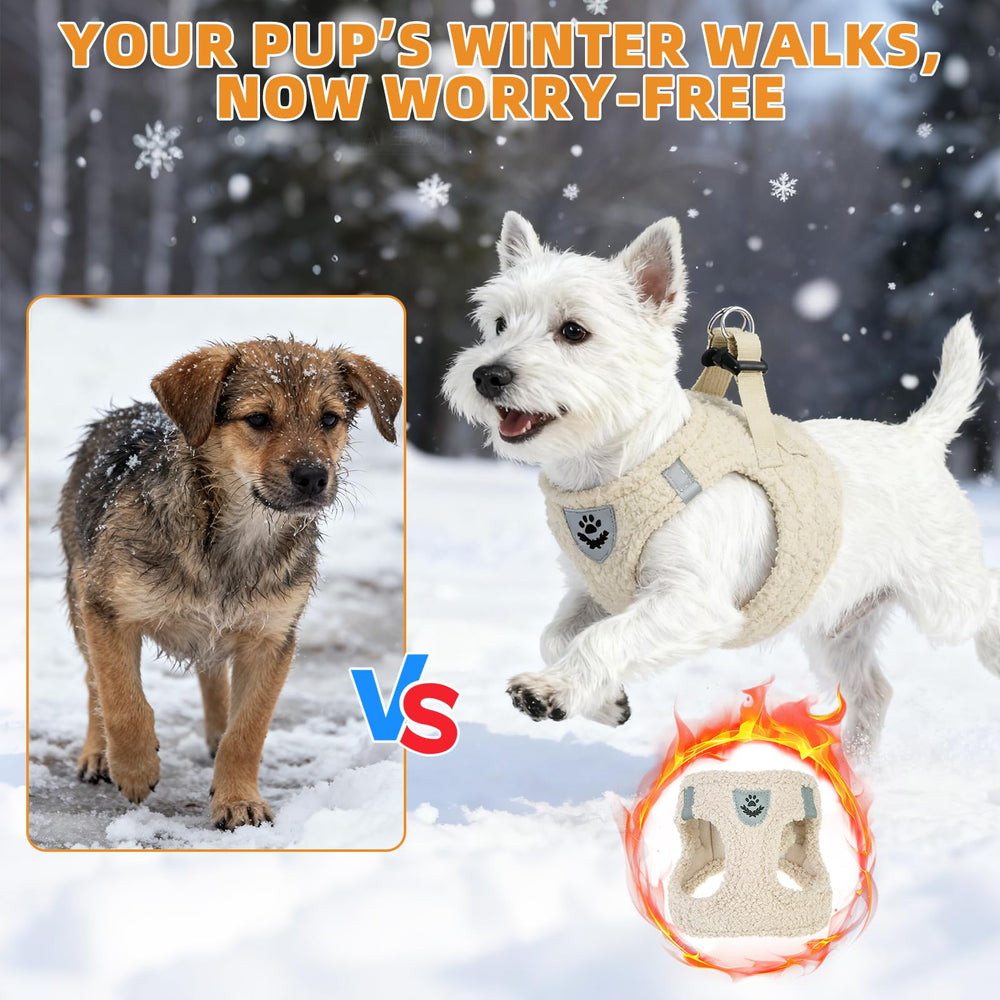 KOOLTAIL winter walk setup with harness and leash ready for chilly strolls