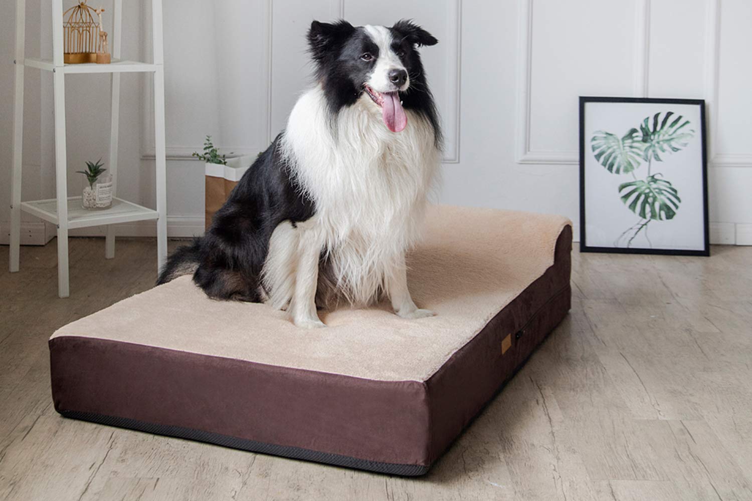 KOPEKS Jumbo Orthopedic Dog Bed 34-inch width for roomy lounging space.