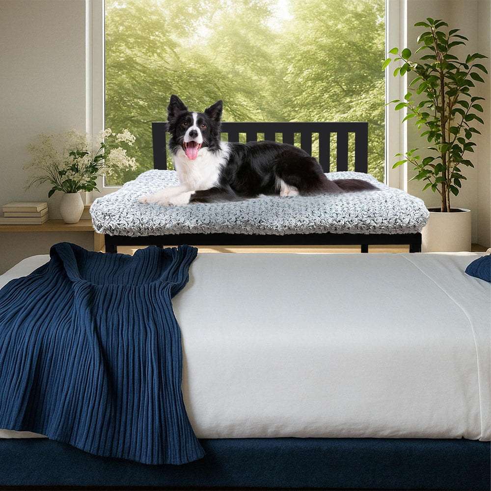 koretech matte-black dog bed complements modern bedrooms while keeping pet comfort nearby