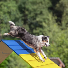 koretech-non-slip-agility-a-frame features a textured anti-slip surface for secure footing.
