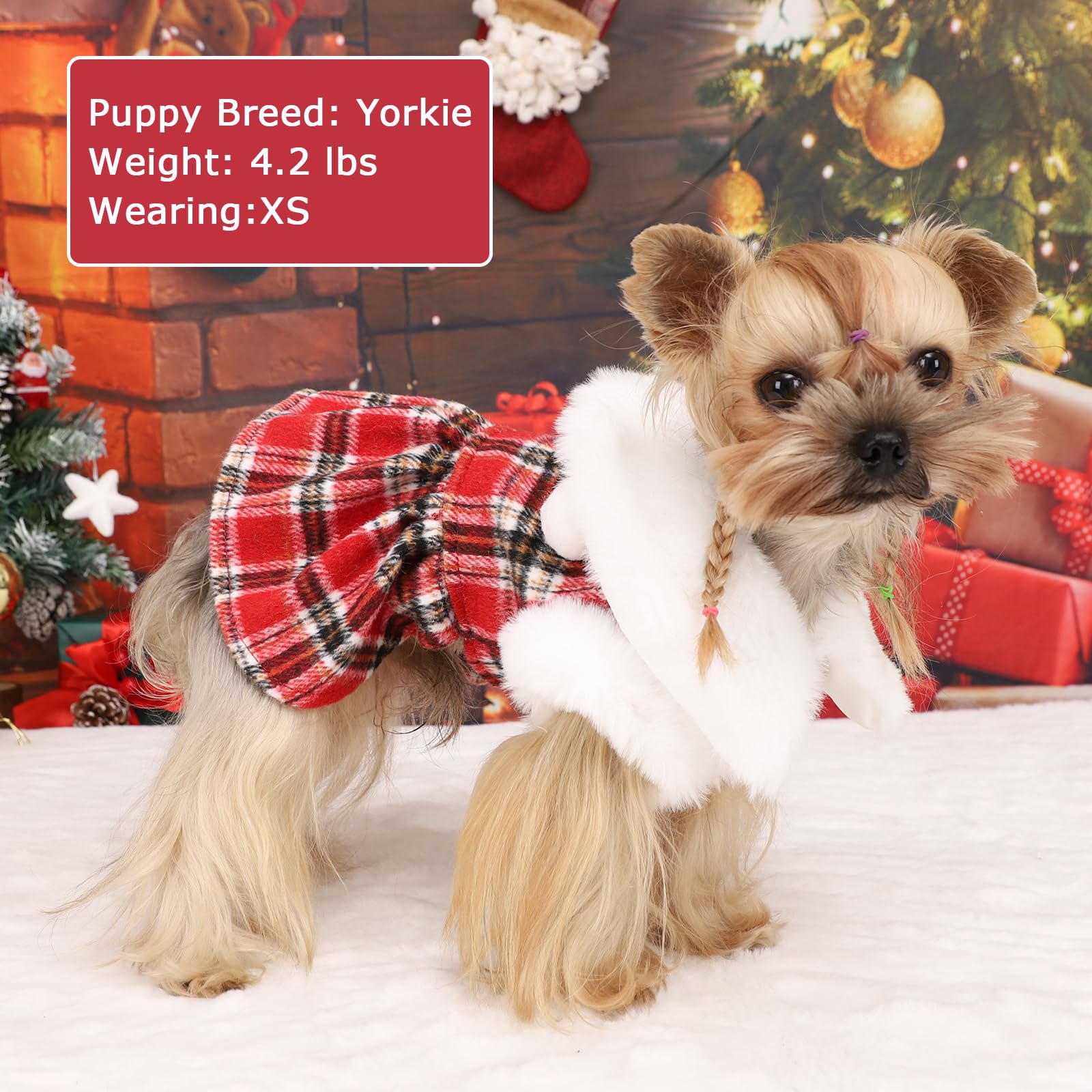 Kosiyi dog leash-friendly sweater with D-rings, perfect for on-walk safety.