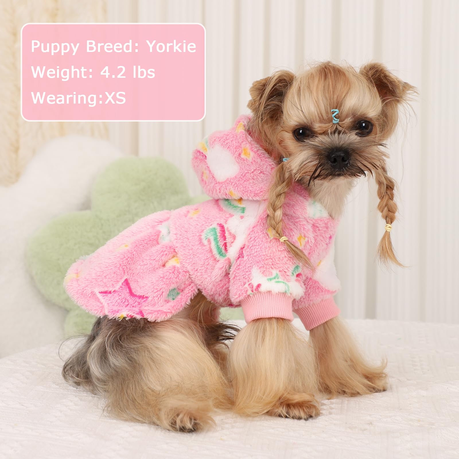 Kosiyi dog photo-prop sweater ideal for cute shots and events