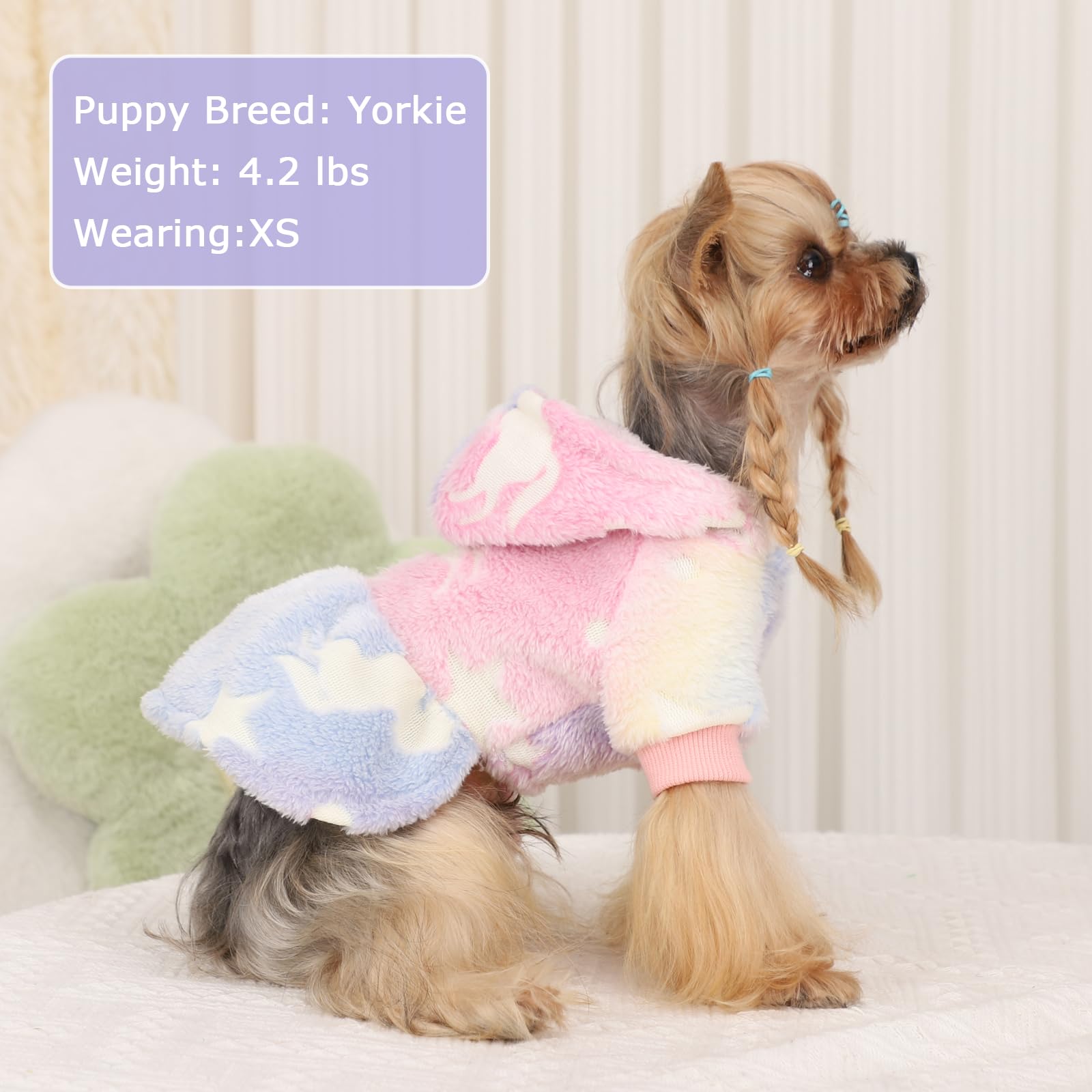 Kosiyi cozy dog hoodie ideal for photos, walks, festive events