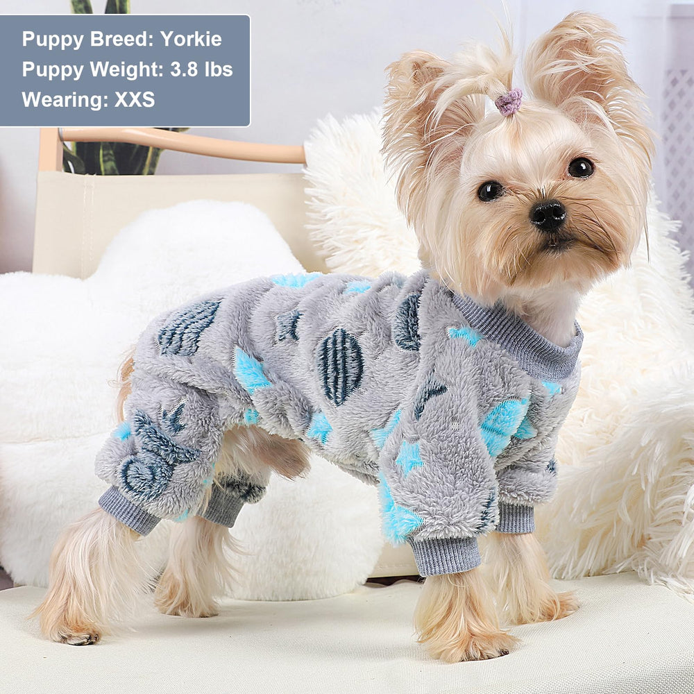 Kosiyi dog sweater model wearing demonstrates snug fit for small breeds.