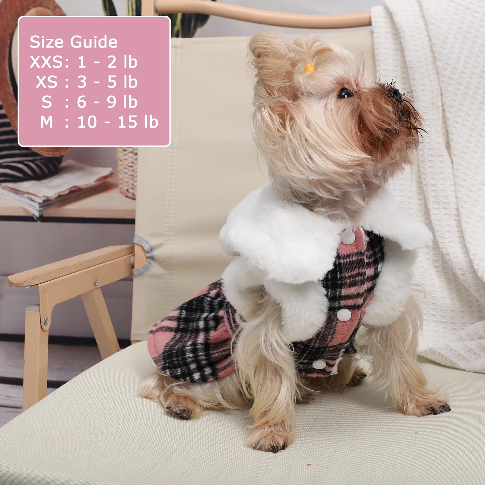 Kosiyi walk-ready dog sweater outfit suitable for daily outings.