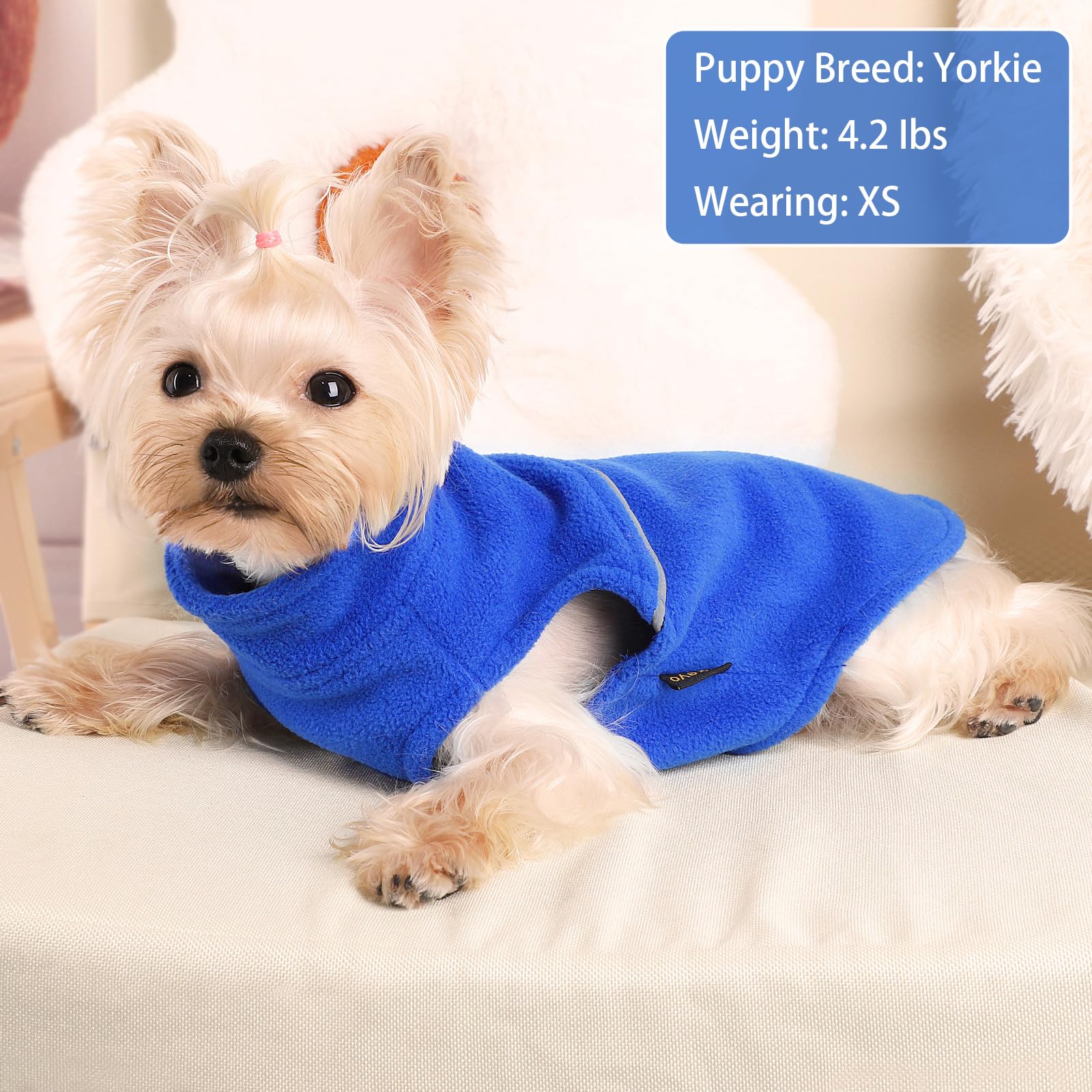 Kosiyi leash-hole-design dog vest allows secure leash access