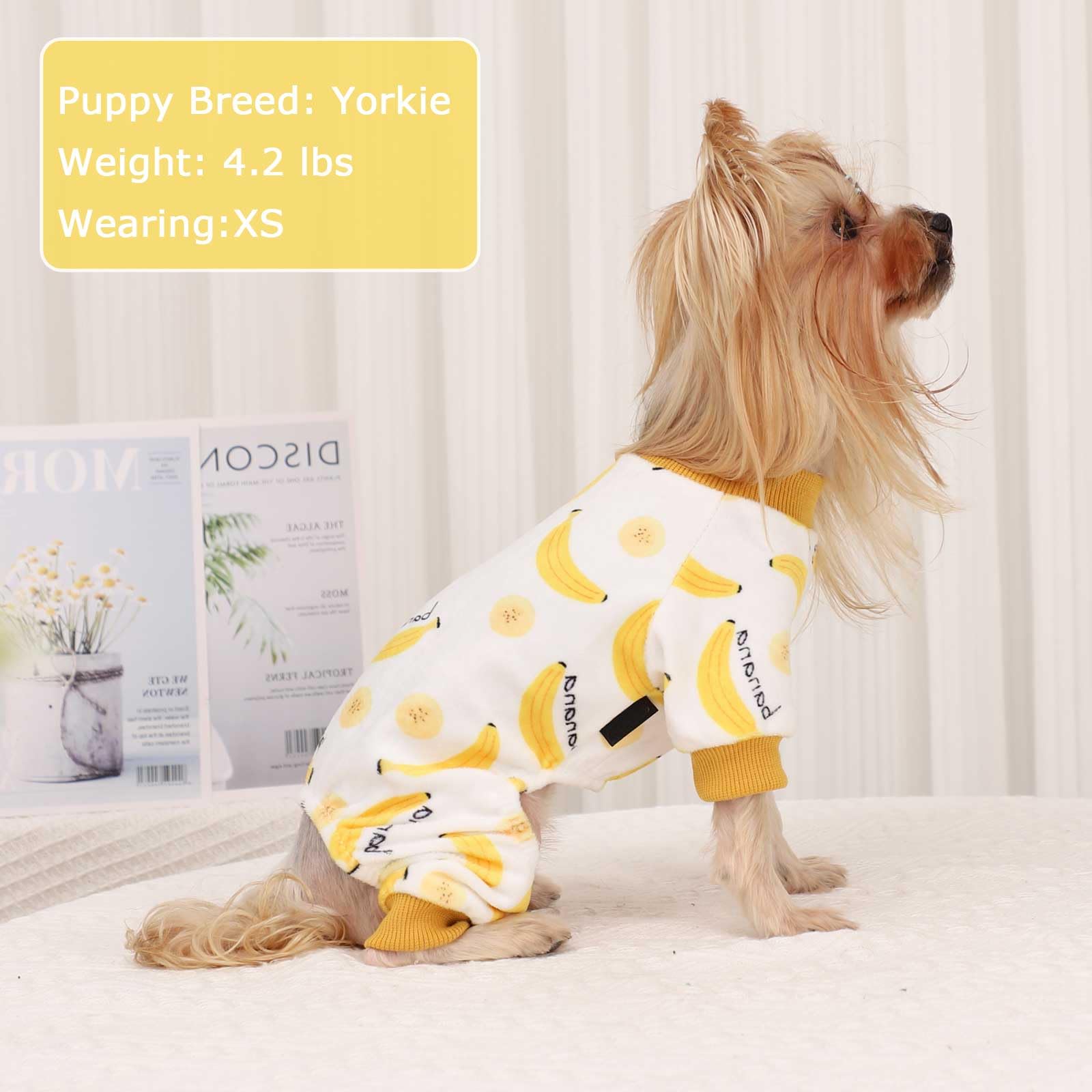 Kosiyi pijama para perro, colores variados, estilo alegre para sesiones de fotos.