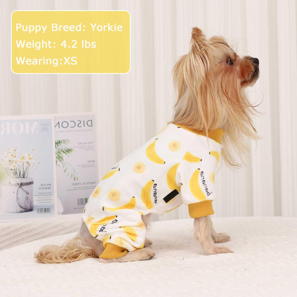 Kosiyi pijama para perro, colores variados, estilo alegre para sesiones de fotos.