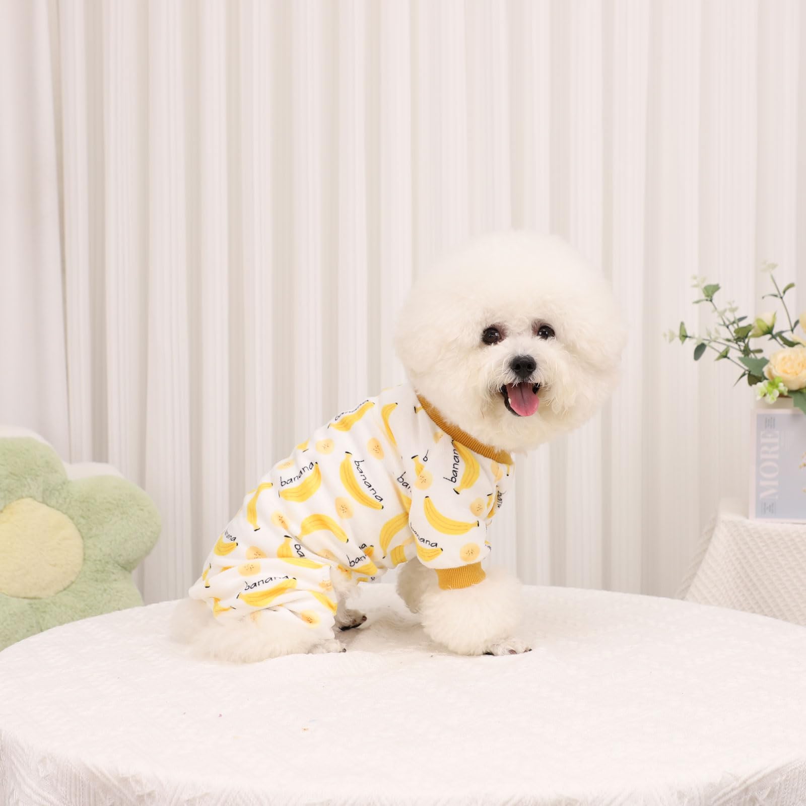 Kosiyi pijama para cachorro, perfecto para fotos y días de juego.