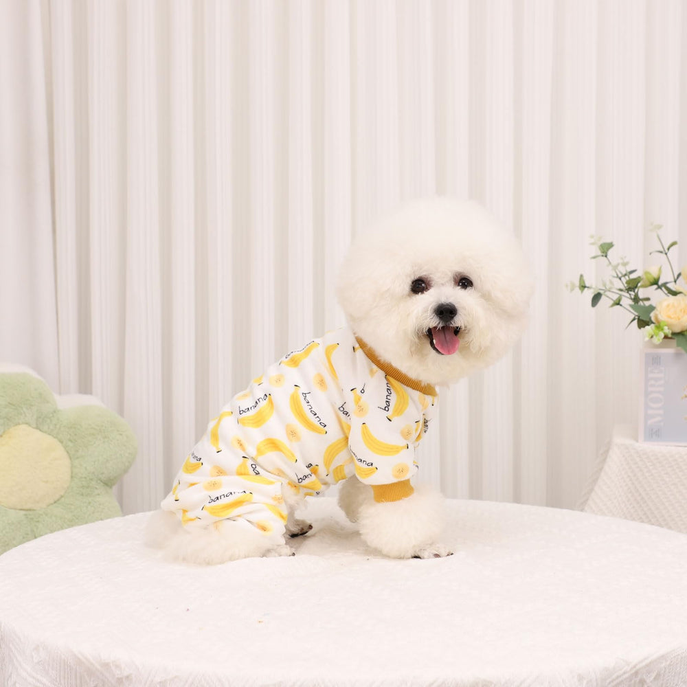 Kosiyi pijama para cachorro, perfecto para fotos y días de juego.